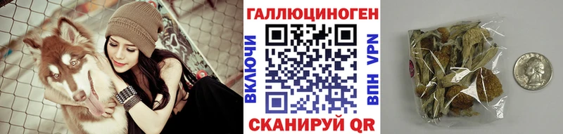 цены   Новочеркасск  дарк нет как зайти  Псилоцибиновые грибы мицелий 